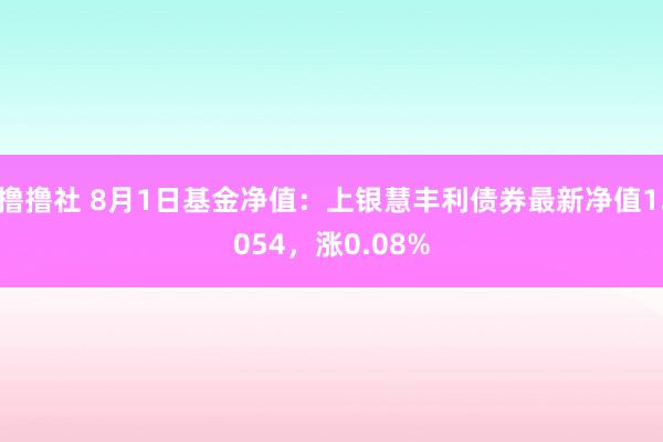 撸撸社 8月1日基金净值：上银慧丰利债券最新净值1.054，涨0.08%