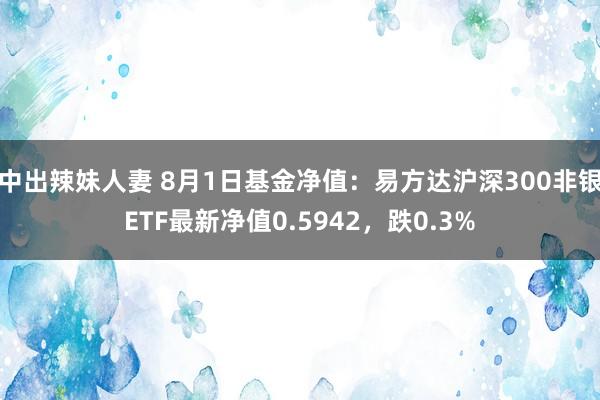 中出辣妹人妻 8月1日基金净值：易方达沪深300非银ETF最新净值0.5942，跌0.3%