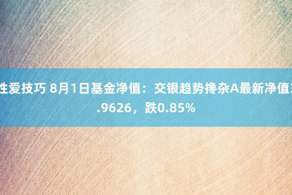 性爱技巧 8月1日基金净值：交银趋势搀杂A最新净值3.9626，跌0.85%