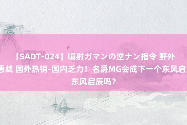 【SADT-024】噴射ガマンの逆ナン指令 野外浣腸悪戯 国外热销-国内乏力！名爵MG会成下一个东风启辰吗？