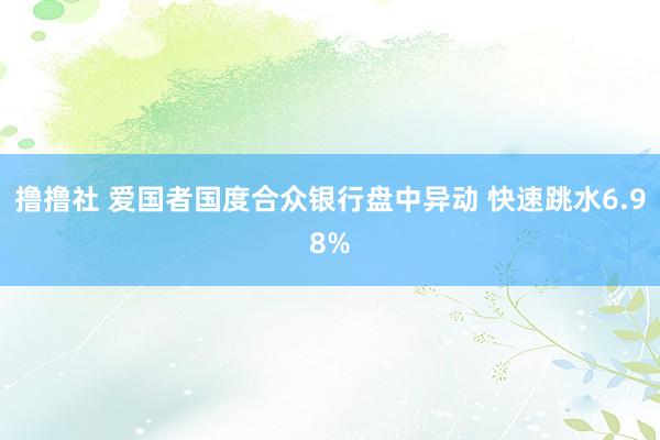 撸撸社 爱国者国度合众银行盘中异动 快速跳水6.98%