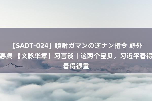 【SADT-024】噴射ガマンの逆ナン指令 野外浣腸悪戯 【文脉华章】习言谈｜这两个宝贝，习近平看得很重