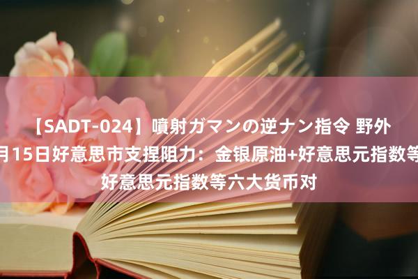 【SADT-024】噴射ガマンの逆ナン指令 野外浣腸悪戯 8月15日好意思市支捏阻力：金银原油+好意思元指数等六大货币对