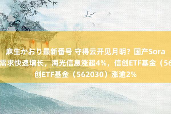 麻生かおり最新番号 守得云开见月明？国产Sora接连推出，算力需求快速增长，海光信息涨超4%，信创ETF基金（562030）涨逾2%