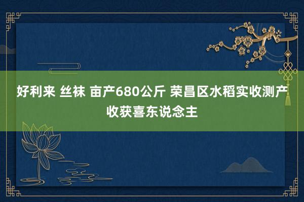 好利来 丝袜 亩产680公斤 荣昌区水稻实收测产收获喜东说念主