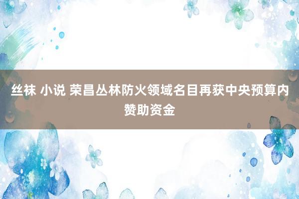 丝袜 小说 荣昌丛林防火领域名目再获中央预算内赞助资金