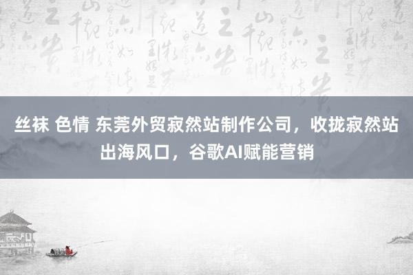 丝袜 色情 东莞外贸寂然站制作公司，收拢寂然站出海风口，谷歌AI赋能营销