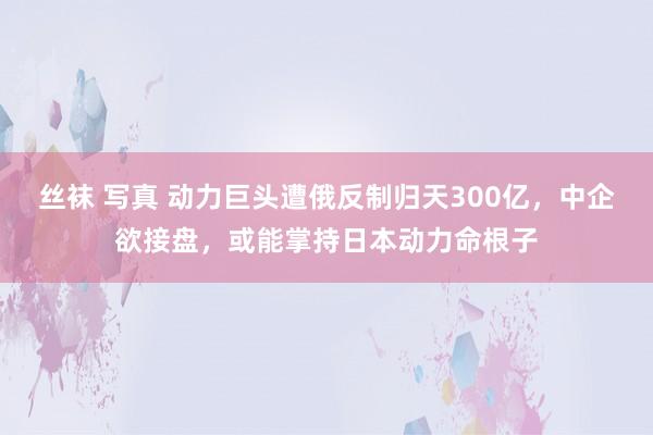 丝袜 写真 动力巨头遭俄反制归天300亿，中企欲接盘，或能掌持日本动力命根子