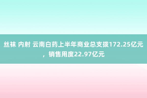 丝袜 内射 云南白药上半年商业总支拨172.25亿元，销售用度22.97亿元