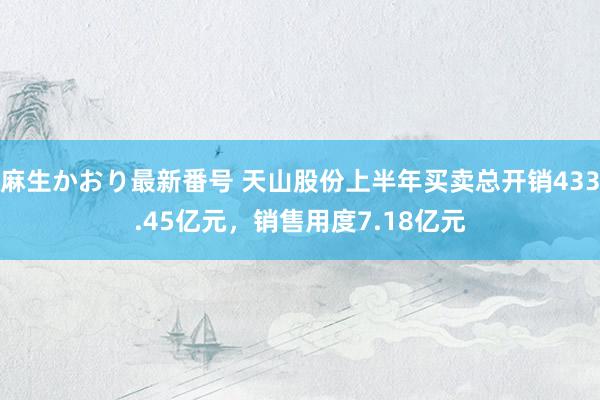 麻生かおり最新番号 天山股份上半年买卖总开销433.45亿元，销售用度7.18亿元