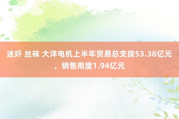 迷奸 丝袜 大洋电机上半年贸易总支拨53.38亿元，销售用度1.94亿元