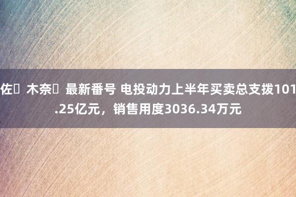 佐々木奈々最新番号 电投动力上半年买卖总支拨101.25亿元，销售用度3036.34万元