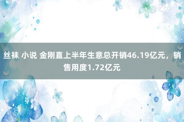 丝袜 小说 金刚直上半年生意总开销46.19亿元，销售用度1.72亿元