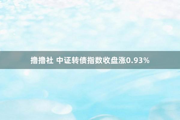 撸撸社 中证转债指数收盘涨0.93%