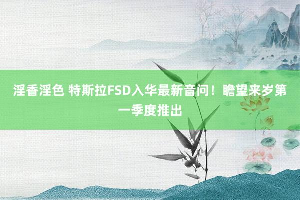 淫香淫色 特斯拉FSD入华最新音问！瞻望来岁第一季度推出