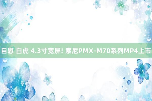 自慰 白虎 4.3寸宽屏! 索尼PMX-M70系列MP4上市