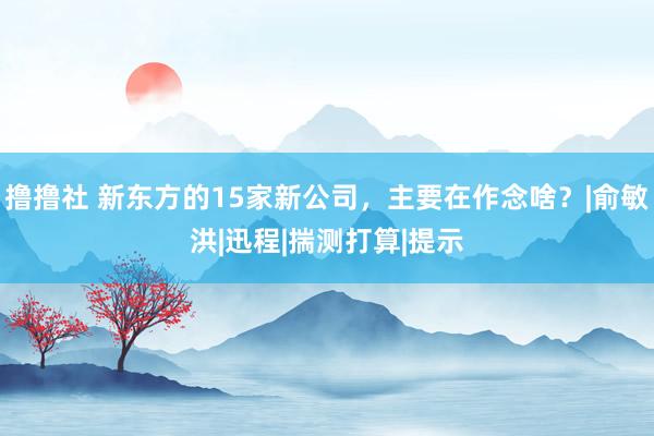 撸撸社 新东方的15家新公司，主要在作念啥？|俞敏洪|迅程|揣测打算|提示