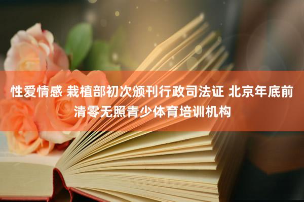 性爱情感 栽植部初次颁刊行政司法证 北京年底前清零无照青少体育培训机构